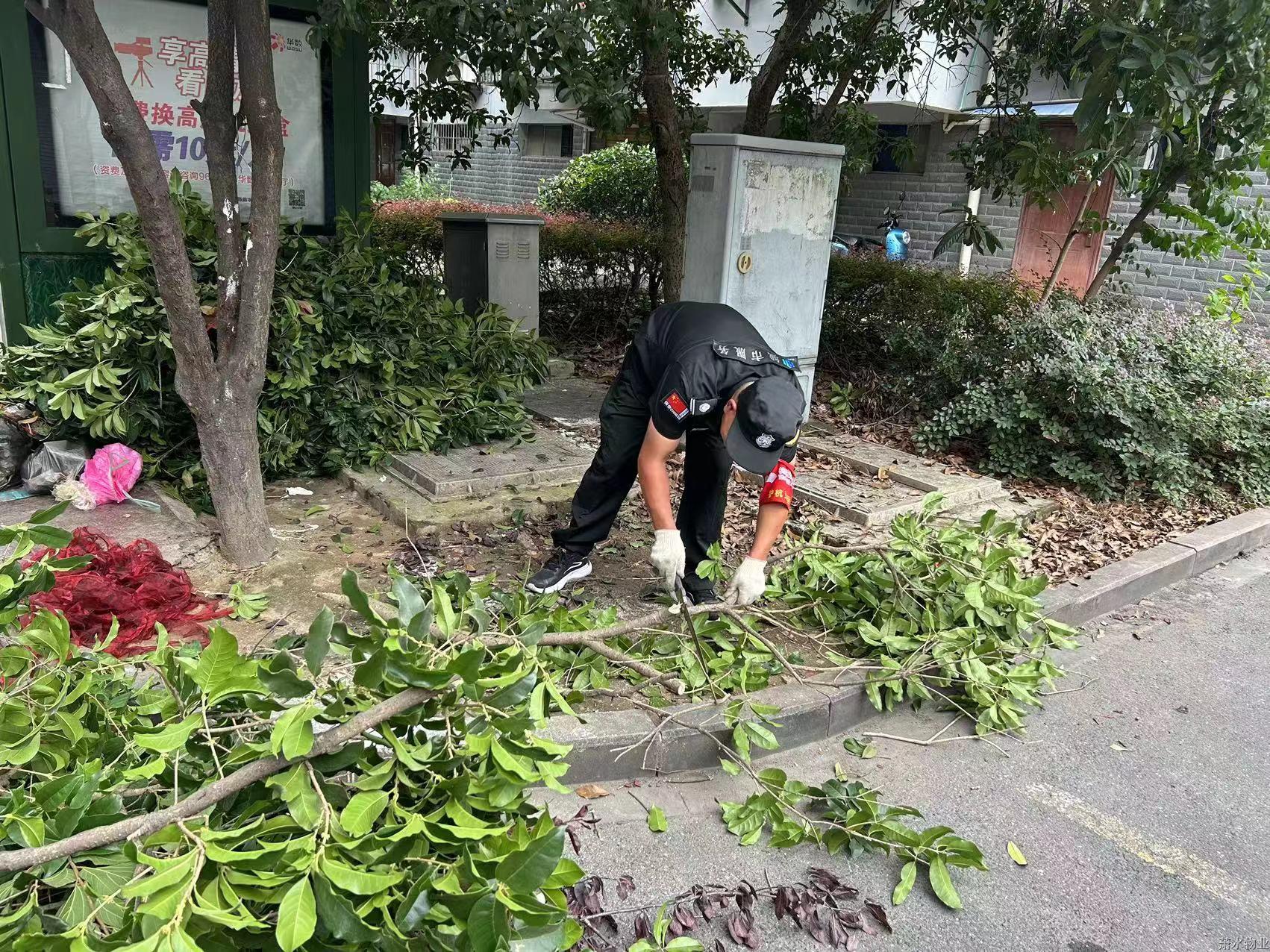 “洁”尽全力 守护美好 | 绣出高颜值，焕新老小区